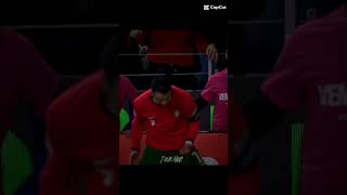 Ronaldo bycicle kick vs poland [upl. by Lynnell]