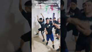 el mejor baile que veras del gallinazo en apoyo a mayito [upl. by Nylrem235]