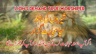 Lions DEN and TRUE WORSHIPER  Pastor Asif Iqbal [upl. by Yekim406]