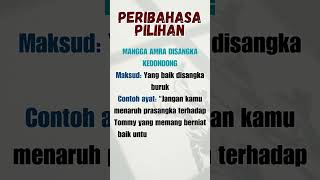 PART 148  Peribahasa pilihan dan Maksud  JenisJenis Peribahasa [upl. by Daiz]