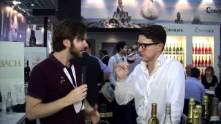 London Wine Fair with Codorniu  The Wine Guy [upl. by Ahsilla390]