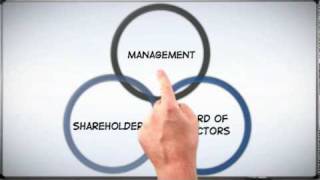 Corp 101 The Basics of Corporate Structure [upl. by Hiller19]