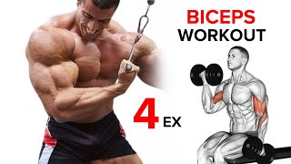 Best Biceps Exercises  Short Head  Long Head  Brachialis [upl. by Dayle365]