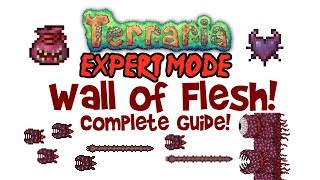 Terraria Wall of Flesh Expert Mode Guide amp Normal Mode too Drops Spawning Demon Heart amp More [upl. by Nanaj518]