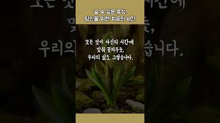 숲 속 깊은 휴식 당신을 위한 치유의 시간 힐링음악 자연소리 도파민디톡스 [upl. by Havstad]