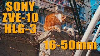 【4K】Cinematic Color Grading Sony HLG3 BT2020 Use Sony ZVE10  Sony 16mm50mm f3556 Kit Lens [upl. by Ilenay182]