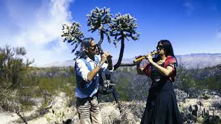 Cherokee Morning Song  Wolfsheart amp IsaBella  Native American Flute Duet [upl. by Messere]