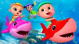 Baby Shark Dance Compilation  Kids Songs and Nursery Rhymes  Baby SumoCoco [upl. by Nirra]