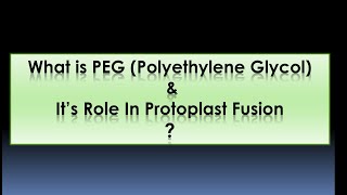 What is PEG   Polyethylene Glycol  Role in Protoplast Fusion [upl. by Goulette882]