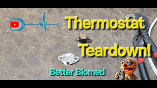 BiMetallic Thermostat Teardown [upl. by Inoliel533]