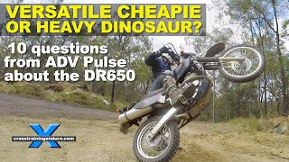 DR650 versatile cheapie or heavy dinosaur 10 questions from ADV Pulse︱Cross Training Adventure [upl. by Naraa116]