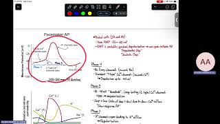 Physiology of cardiac muscle  L1 [upl. by Reinal]