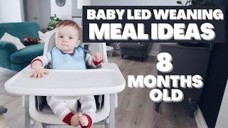 What My 8 Month Old Eats In a Week Baby Led Weaning Meals  LINDSEYDELIGHT [upl. by Matilda]