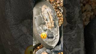 Rock Breaking Fossil Surprise 😮‼️fossilhuntingrockbreakingrock hounding [upl. by Yrrol739]