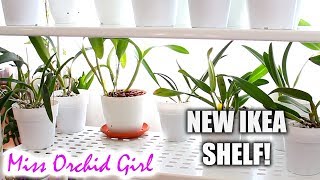 New shelf for my Orchids  IKEA Mulig storage series [upl. by Enawd]