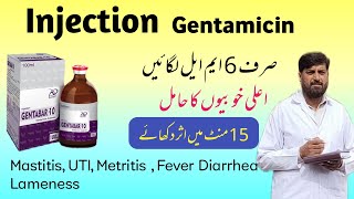 Injection جینٹا مائی سین  Gentamicin Use In Mastitis Metritis Pneumonia Diarrhea  Gentafar [upl. by Owens]