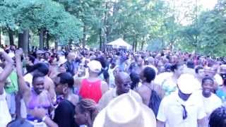 Soul Summit at Fort Greene Park 2013 [upl. by Eitsyrhc]