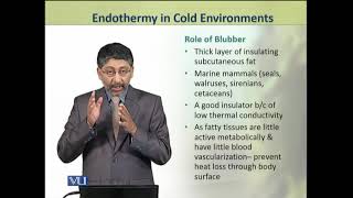 Endothermy in Cold Environments  Animal Physiology and Behavior Theory  ZOO502TTopic227 [upl. by Notxarb]