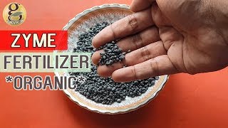 ZYME FERTILIZER For Plants  Alternative to NPK DAP  Bio Fertilzier  How to USE Zyme Granules [upl. by Darrey]