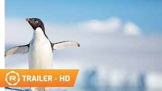 Penguins Official Trailer 1 2018  Regal HD [upl. by Carrick]