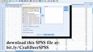 Calculating and Understanding Correlations in SPSS and Excel [upl. by Bainbrudge]