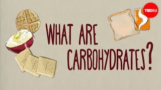 How do carbohydrates impact your health  Richard J Wood [upl. by Eadahc376]