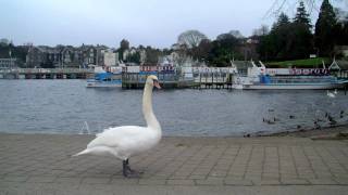 Bowness on Windermere [upl. by Rebliw433]