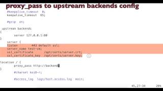 nginx ssl offloading example [upl. by Magner951]