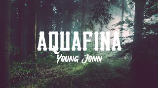 Young JonnAquafina lyrics [upl. by Attiuqihc]