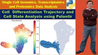 Cell Differentiation Trajectory Analysis and Cell State Analysis using Palantir [upl. by Reham]