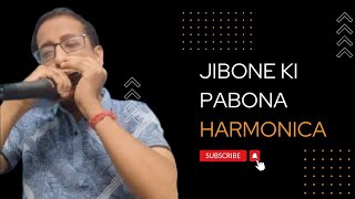 Jibone ki Pabona  Harmonica Cover  Soumendra [upl. by Kass899]