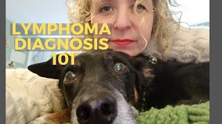 What We Did When Our Dog Got Lymphoma Diagnosis Reaction  Canine Lymphoma Vlog Part 1 [upl. by Oberheim]