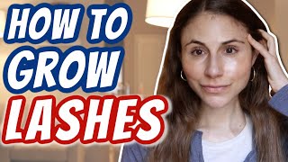 How to GROW LASHES Dr Dray [upl. by Eyla]