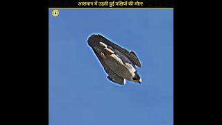 Peregrine falcon attack  आसमान में उड़ती हुई पक्षियों की मौत  shorts factkibaat [upl. by Katushka308]