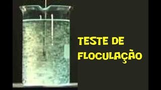 Sedimentação  Teste Floculacao Jar Test [upl. by Enelyaj]