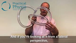 Anatomy and Orientation of the Semicircular Canals [upl. by Gibson867]