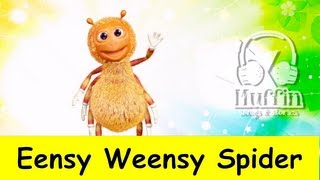 Eensy Weensy Spider  Family Sing Along  Muffin Songs [upl. by Engvall355]