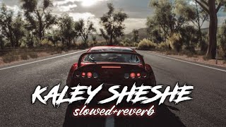 Kaley Sheshe Addy Nagar Slowed Reverb [upl. by Aneehsal74]