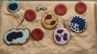 Blood Cell BakeryIntroduction [upl. by Fedak]