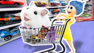 Joy Takes Hamster To The Supermarket🐹HAMSTER OBSTACLE COURSE🐹HammyHappyTDC [upl. by Nnyleitak689]