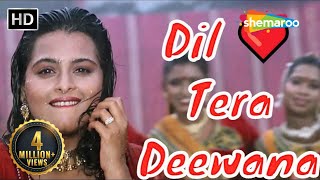 Dil Tera Deewana Hai  Kumar Sanu Hit songs  Sunil Shetty  Shilpa Shirodkar  Raghuveer [upl. by Hazem814]