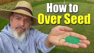 Overseeding Lawns in the Spring  How to  Dos and Donts [upl. by Enale412]