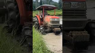 Kubota l4508 4 wheel tractor working in mud 😲😲😲 [upl. by Suisyola]