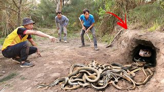 Animal Rescue Team  Move 100 Dragon Snakes Out Of Residential Areas [upl. by Sucramaj659]