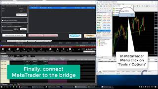 MetaTrader  Interactive Brokers Bridge Quickstart Tutorial [upl. by Cut133]