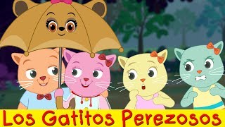 Los Gatitos Perezosos The Lazy Kittens  Programa Comedia De Dibujos Animados  ChuChu TV Cutians [upl. by Llohcin231]