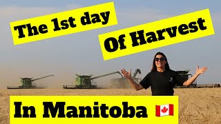 The 1st Day of Harvest in Manitoba [upl. by Ijies466]