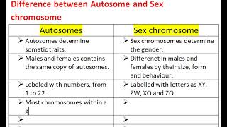 Difference between Autosome and Sex Chromosome [upl. by Ainimre]