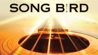 Song Bird OFFICIAL SITE [upl. by Guimond]