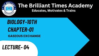 Lecture 4 Gaseous Exchange in Humans The Air Passageway Biology10th CH01Gaseous Exchange [upl. by Marjie]